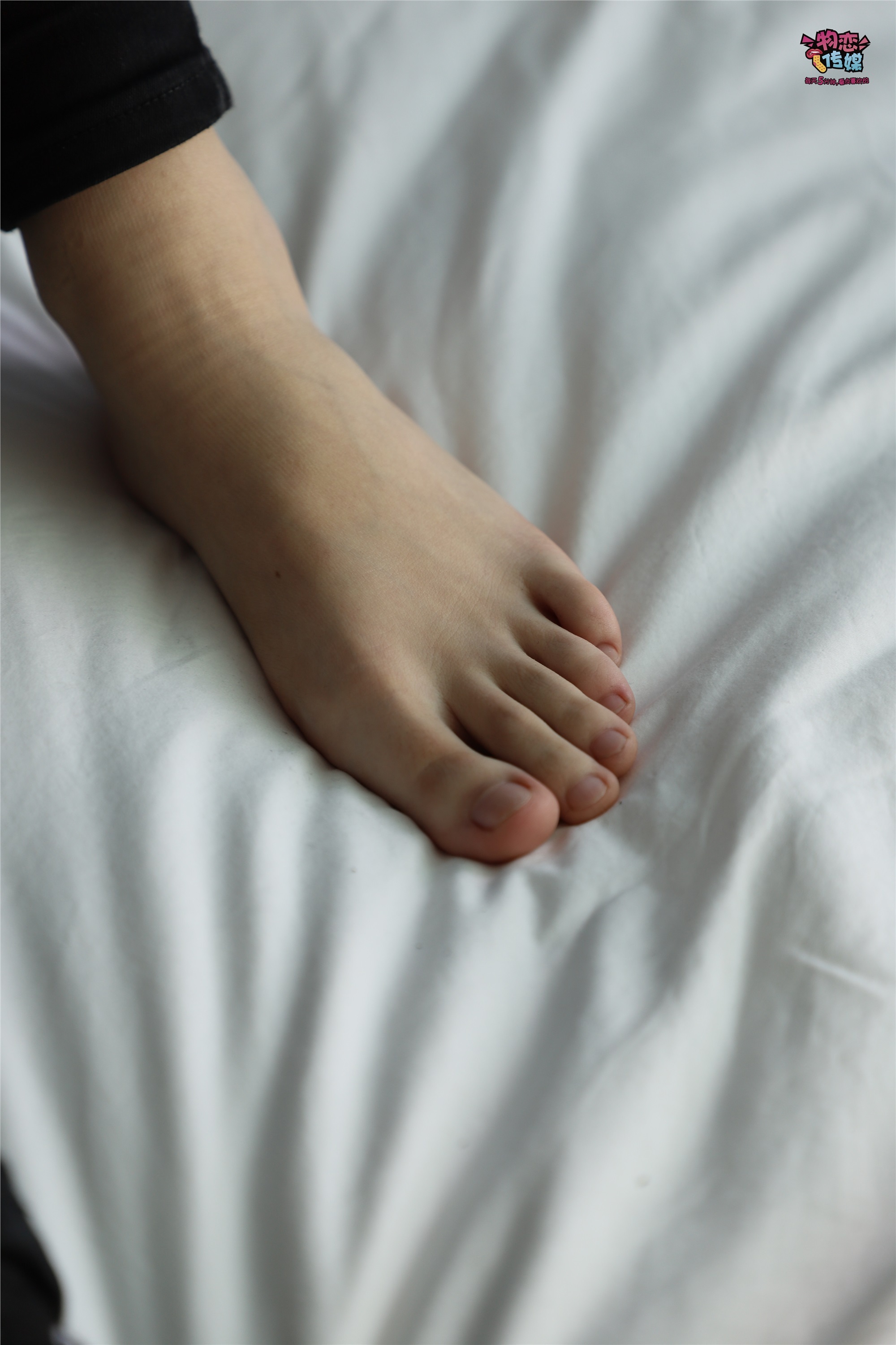 物恋传媒 No.004 学建筑的小姐姐来啦，带你看不一样的理工女生